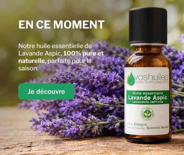 Hivernale left