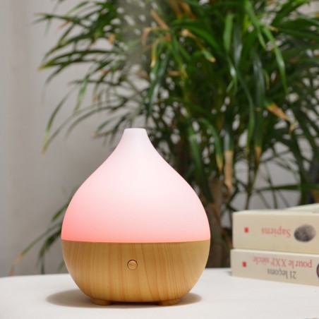 Diffuseur Ultrasonique LEO