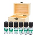 Coffret Aromathérapie 6 flacons d'huiles essentielles