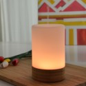 Diffuseur Ultrasonique Felisia