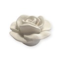 Galet Fleur