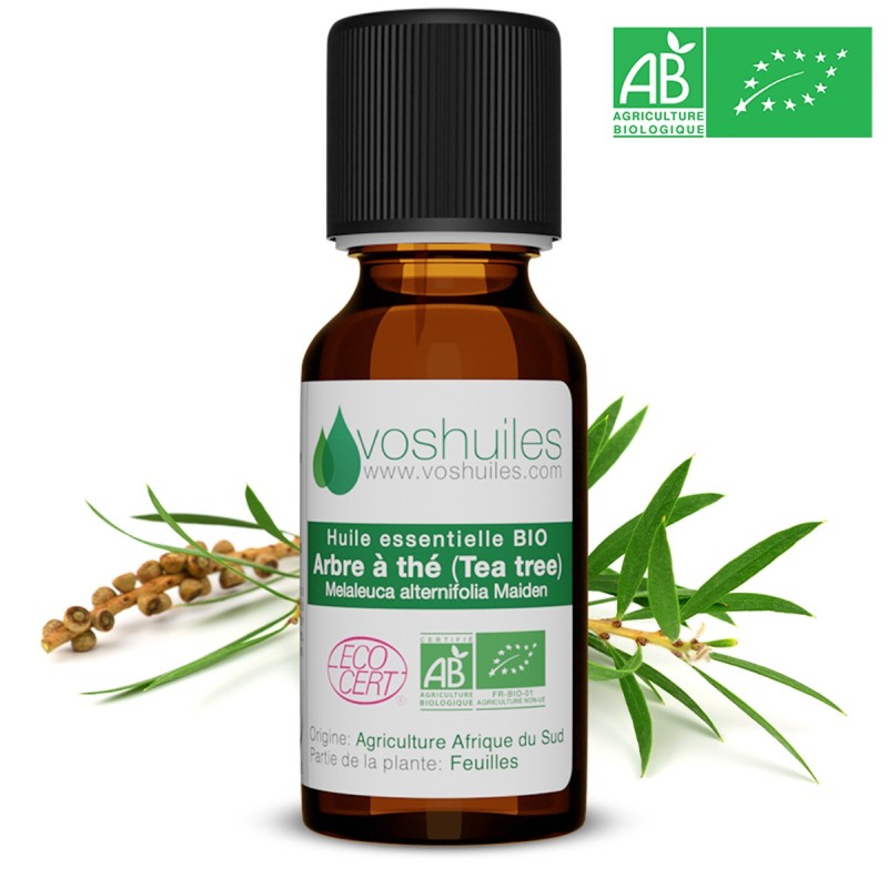 Tea tree - Arbre à Thé BIO - Huile Essentielle - 10 ml - Herboristerie du  docteur sammut