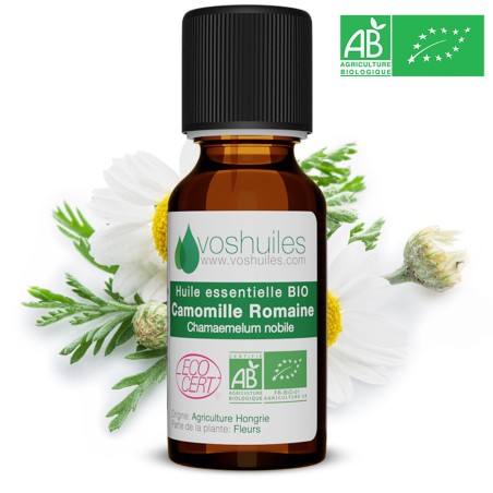 Huile Essentielle BIO de Camomille Romaine