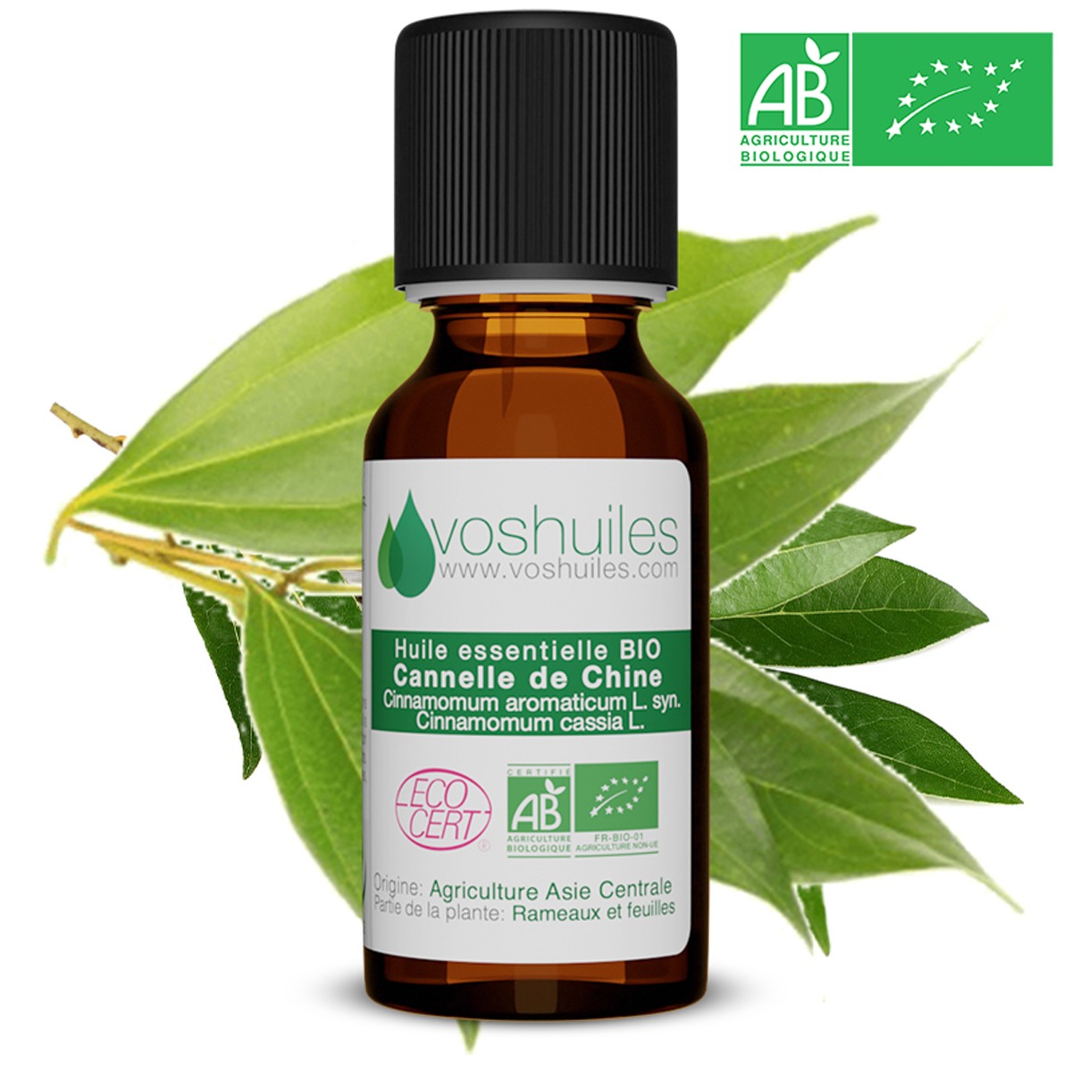 Cannelle Cassia Bio - La Caravelle Verte