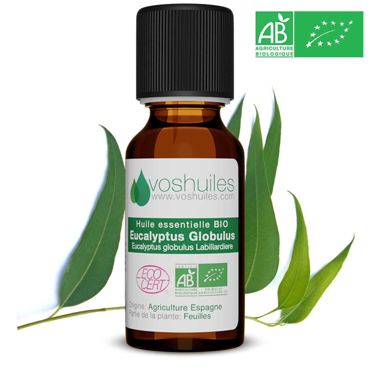 Huile essentielle d'eucalyptus globulus - Vente en ligne aromathérapie