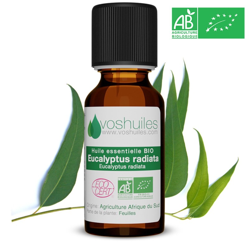 Huile Essentielle BIO d'Eucalyptus Radiata