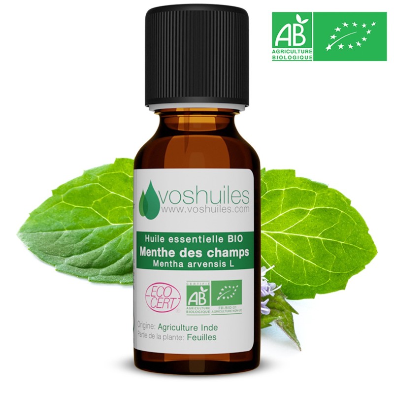 Huile Essentielle BIO de Menthe des champs