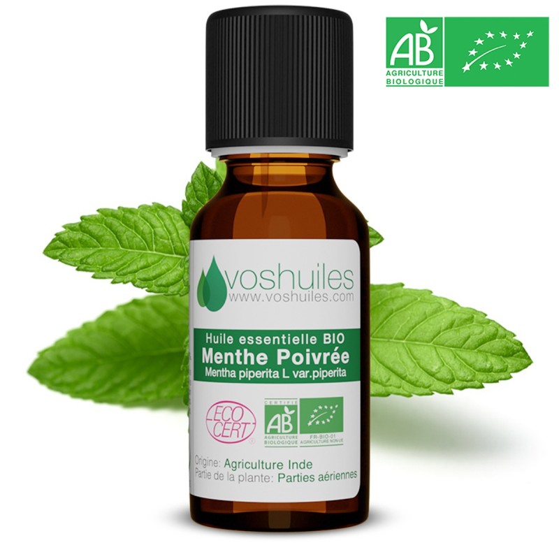 Huile Essentielle de Menthe Poivrée BIO, Propriétés de l'Huile Essentielle  de Menthe Poivrée