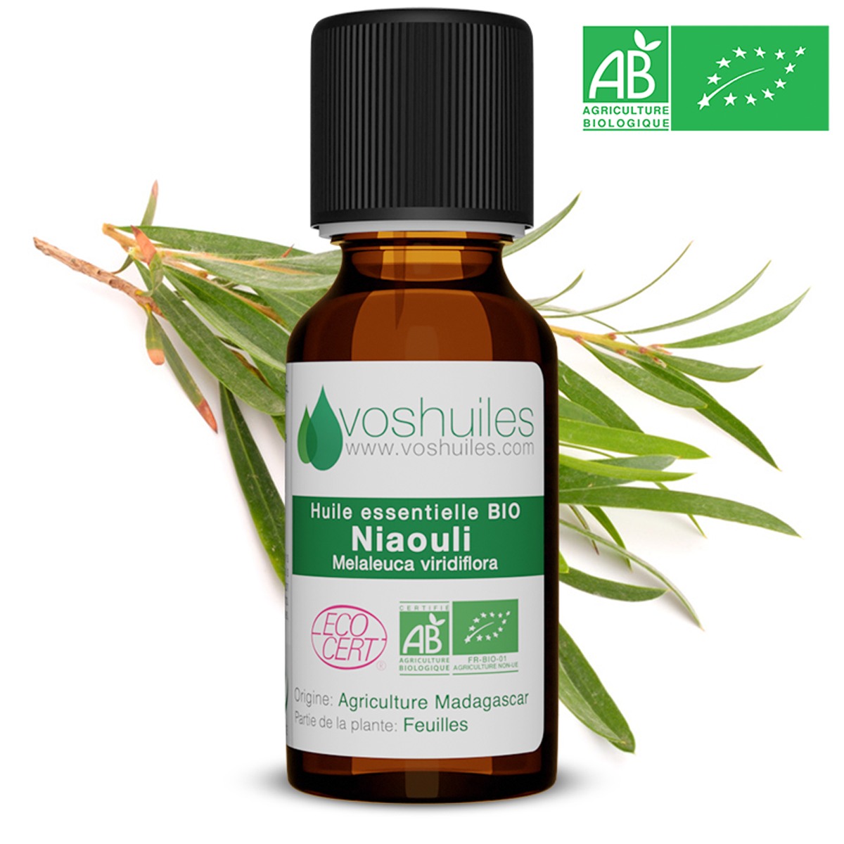 huile essentielle niaouli (bio)