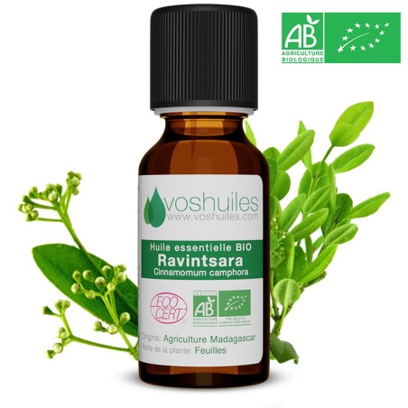 Huile Essentielle BIO de Ravintsara