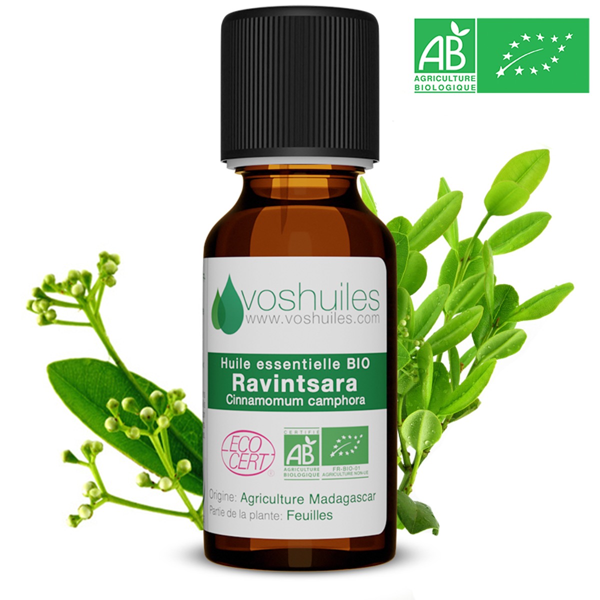 Ravintsara - huile essentielle bio