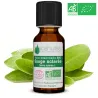 Huile Essentielle BIO de Sauge sclarée