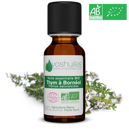 Huile Essentielle BIO de Thym à Bornéol