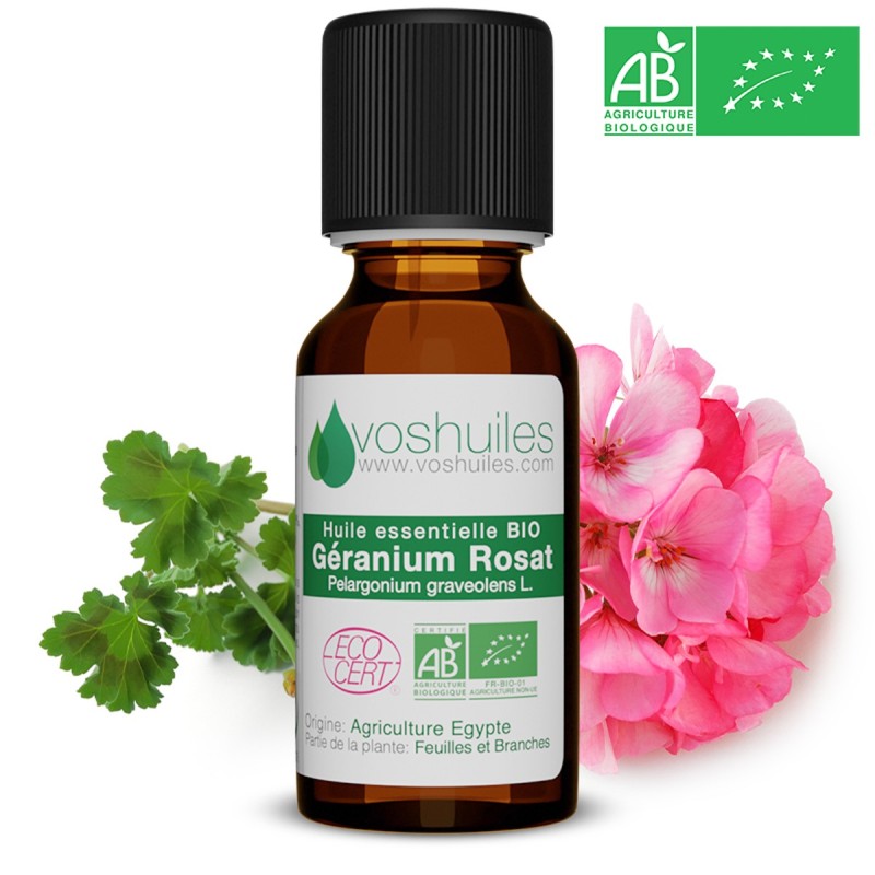 Huile essentielle de Géranium Rosat : comment l'utiliser correctement ?