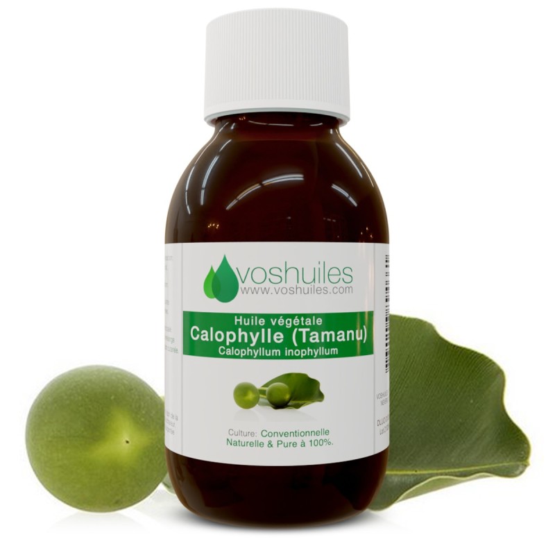 Huile Végétale de Calophylle (Tamanu)