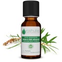 Huile Essentielle d'Arbre à thé (Tea tree) citronné
