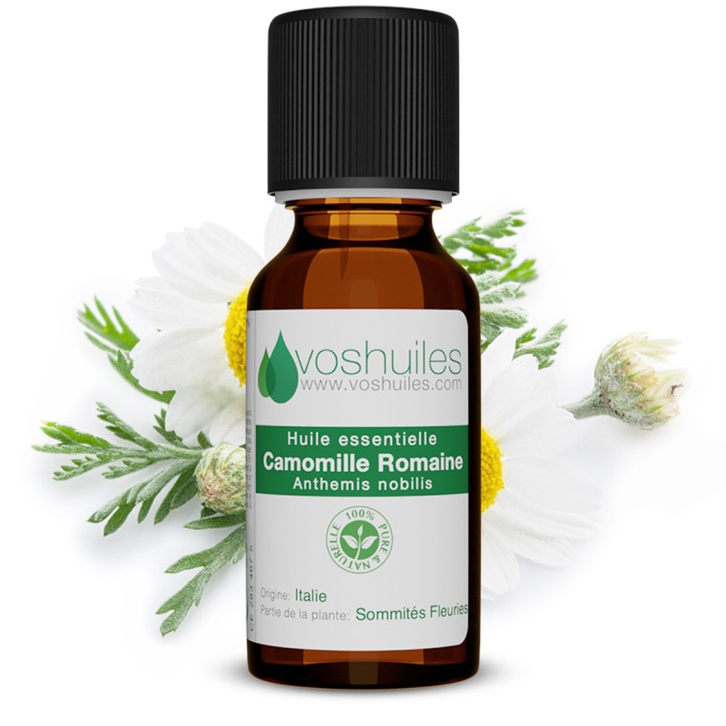 Huile essentielle Camomille romaine (Chamaemelum nobile) – Lotus Aroma