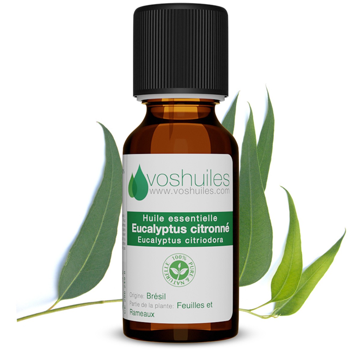 Huile essentielle d'eucalyptus citronné - fraîche, purifiante et stimulante  – Naissance FR
