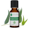 Huile Essentielle d'Eucalyptus à Cryptone (Eucalyptus polybractea)