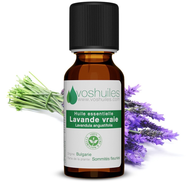 Huile Essentielle de Lavande Vraie (Lavandula angustifolia)