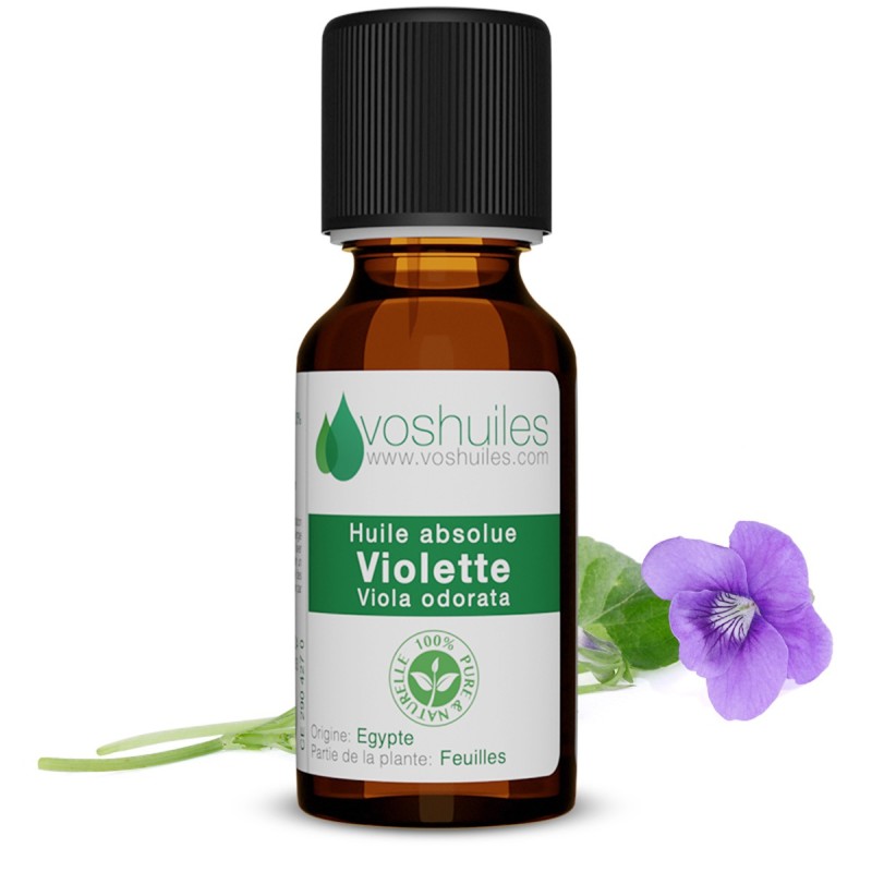 Huile Absolue de Violette (Viola odorata)