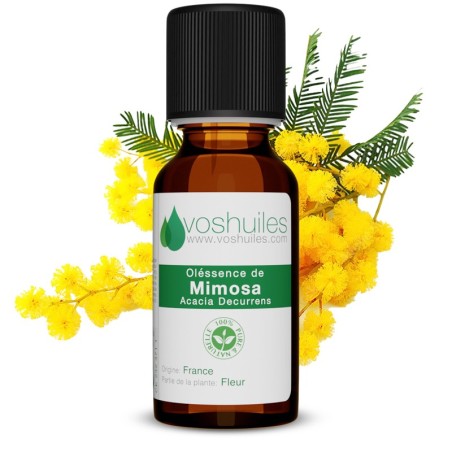 Oléssence de Mimosa