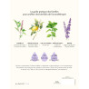 Le Grand Guide des Huiles Essentielles