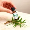 Huile Essentielle BIO d'Arbre à thé (Tea tree)