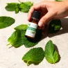 Huile Essentielle BIO de Menthe poivrée