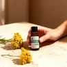 Huile Essentielle BIO d'Immortelle