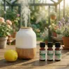 Kit Diffusion Eté - 3 Huiles Essentielles BIO