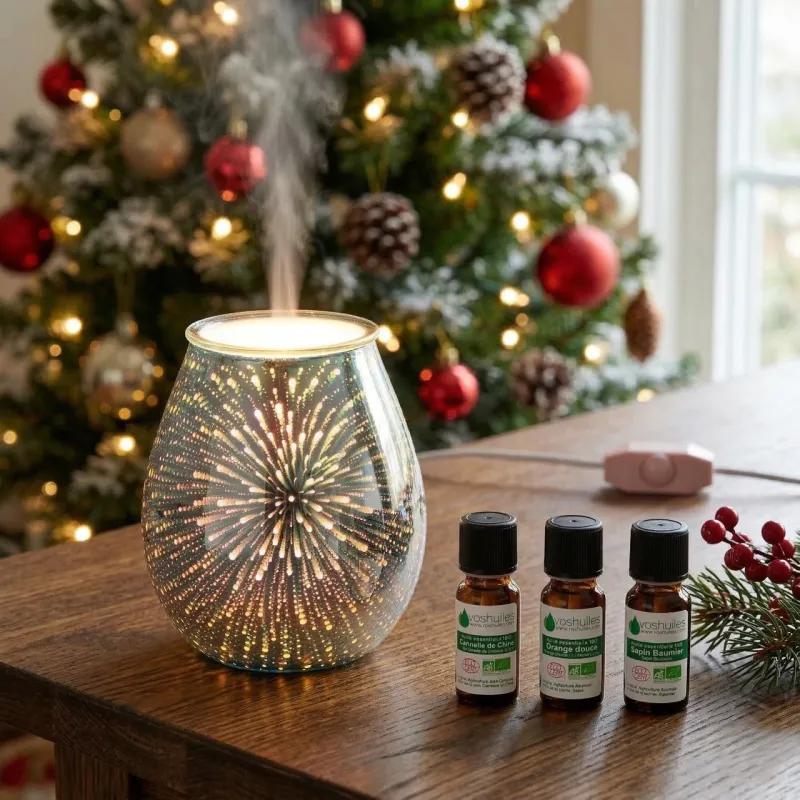 Kit Diffusion Senteurs de Noël - 3 Huiles Essentielles BIO