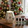 Kit Diffusion Senteurs de Noël - 3 Huiles Essentielles BIO