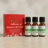 Kit Diffusion Senteurs de Noël - 3 Huiles Essentielles BIO