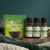 Kit Inhalation Hiver - 3 Huiles Essentielles BIO