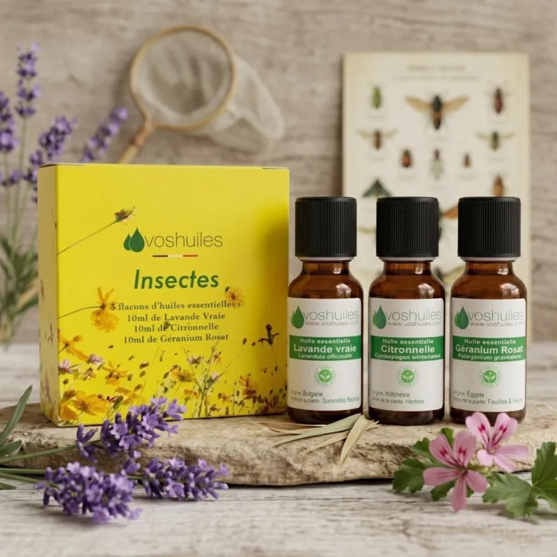 Huiles Essentielles Anti Fourmis