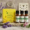 Kit Insectes, moustiques, guêpes, fourmis… - 3 Huiles Essentielles