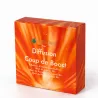 Kit Diffusion Coup de Boost - 3 Huiles Essentielles BIO