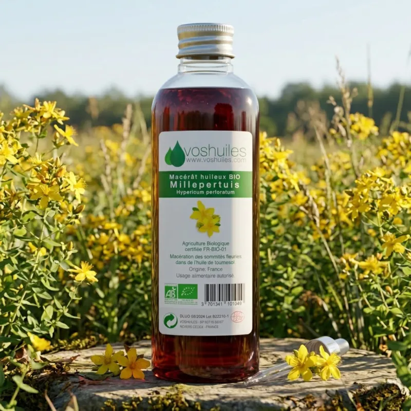 Macérât huileux BIO de Millepertuis