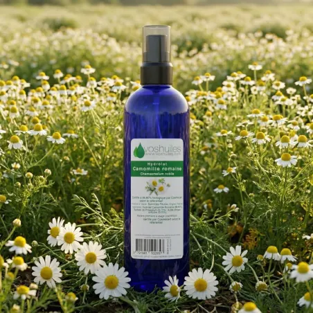 Hydrolat de Camomille Romaine