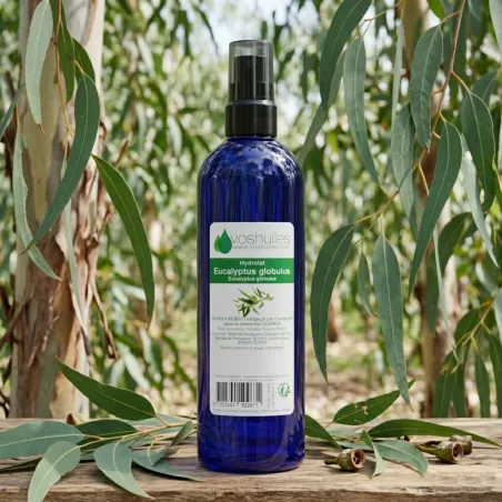 Hydrolat d'Eucalyptus Globulus COSMOS