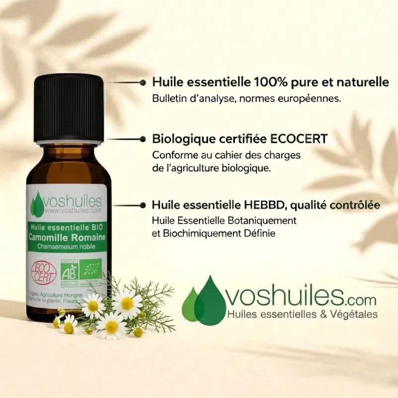 Huile Essentielle BIO de Camomille Romaine