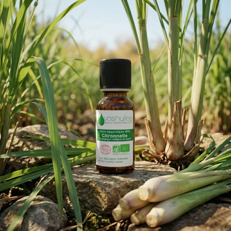 Huile Essentielle BIO de Citronnelle
