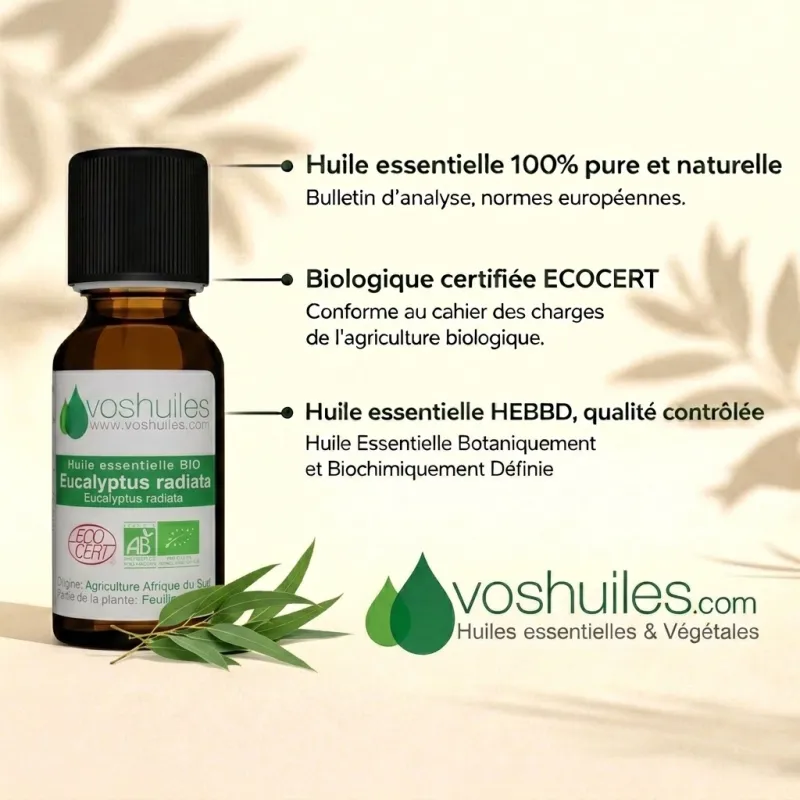 Huile Essentielle BIO d'Eucalyptus Radiata