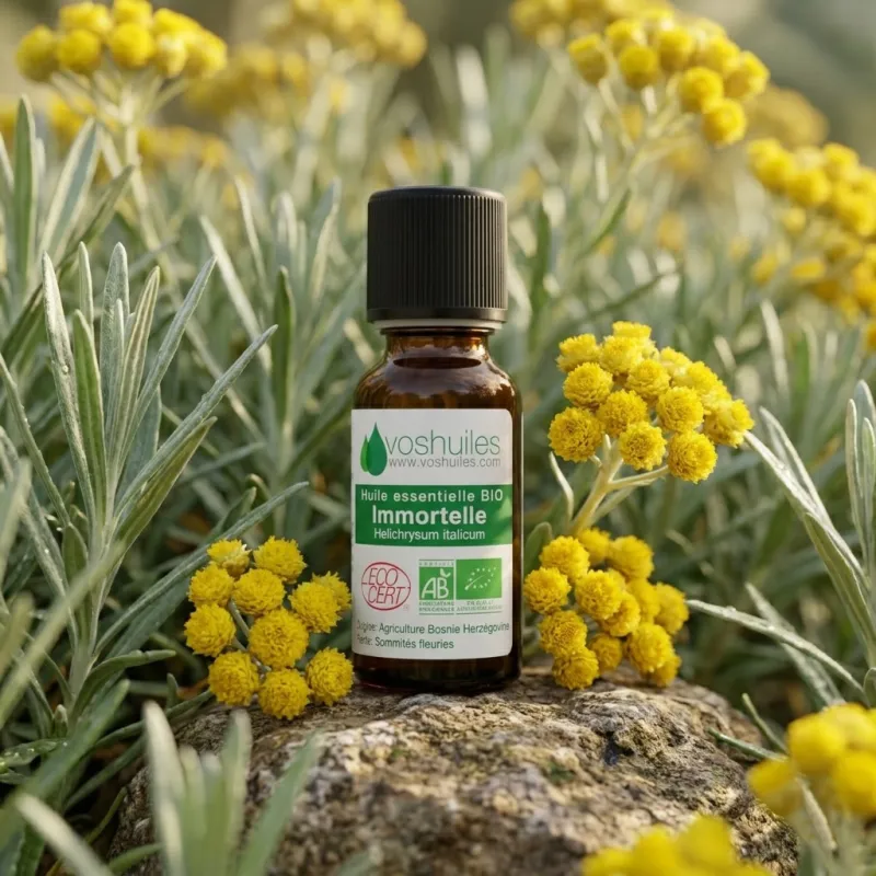 Huile Essentielle BIO d'Immortelle