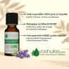 Huile Essentielle BIO de Lavande officinale
