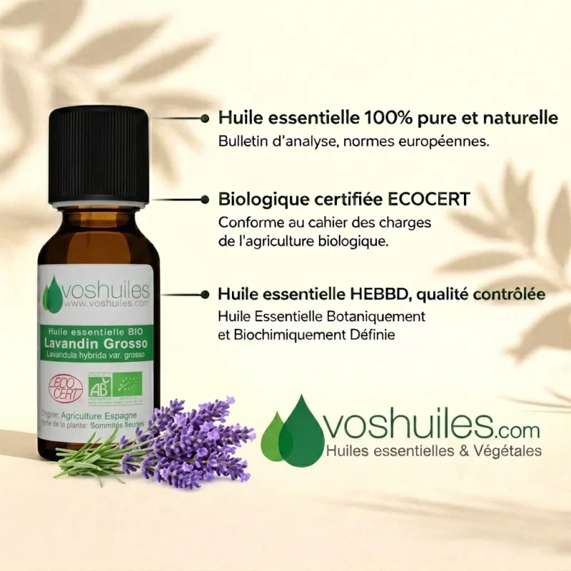Huile Essentielle BIO de Lavandin Grosso