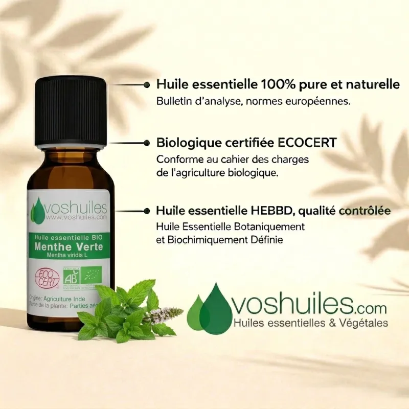 Huile Essentielle BIO de Menthe Verte | VosHuiles.com