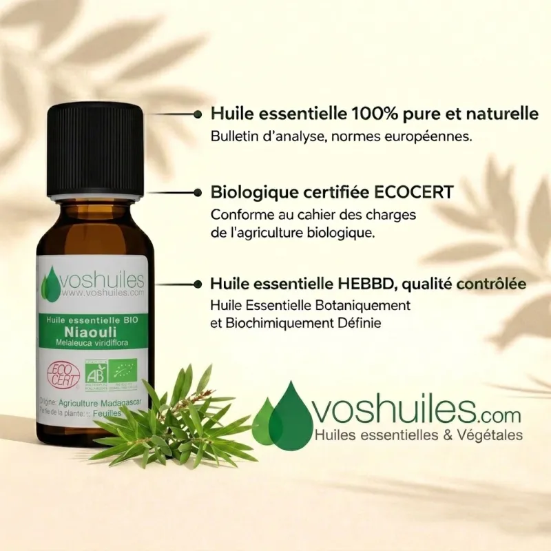 Huile Essentielle BIO de Niaouli