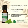 Huile Essentielle BIO de Patchouli